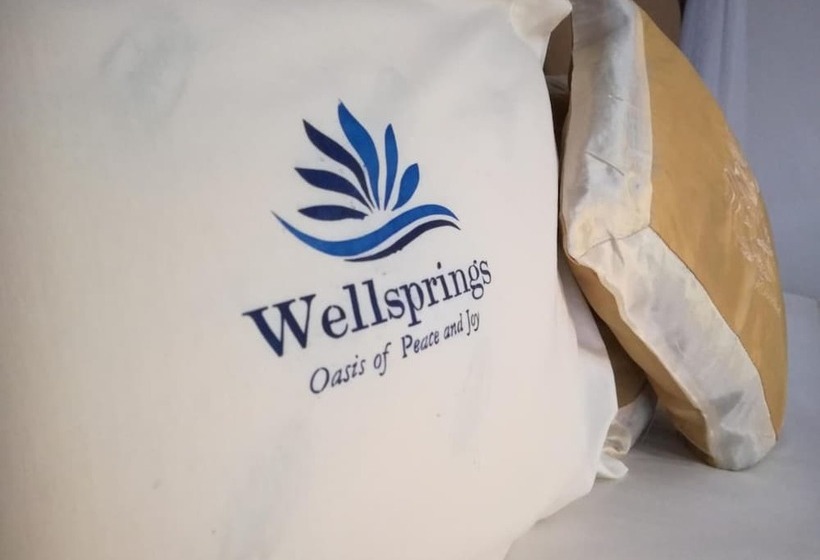 اتاق لوکس, Wellsprings