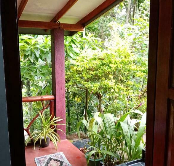 Deluxe Room, Littleadems View