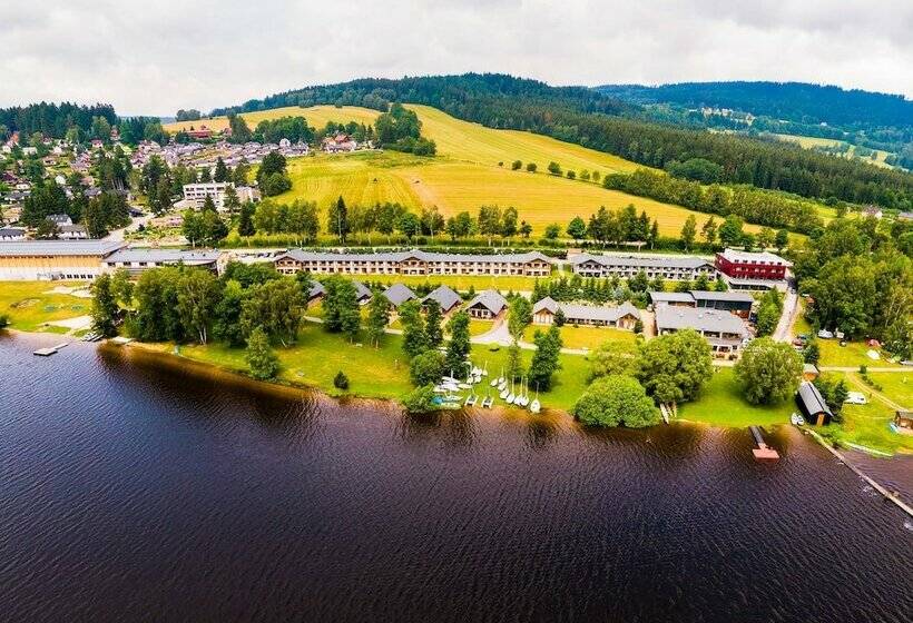 스탠다드 룸, Amenity Hotel & Resort Lipno