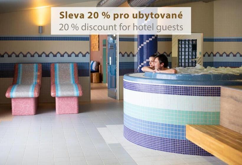 수피리어 룸, Amenity Hotel & Resort Lipno