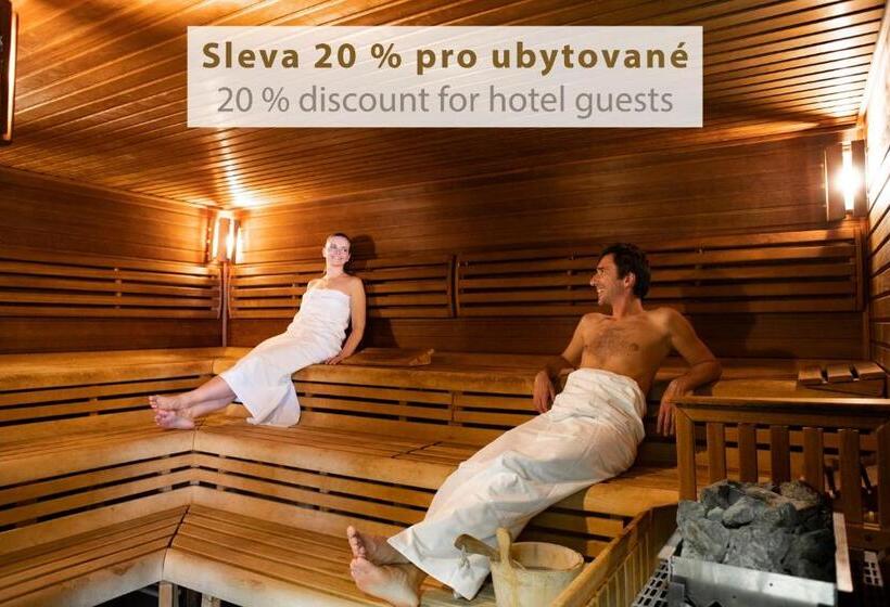 침실 1개 아파트, Amenity Hotel & Resort Lipno