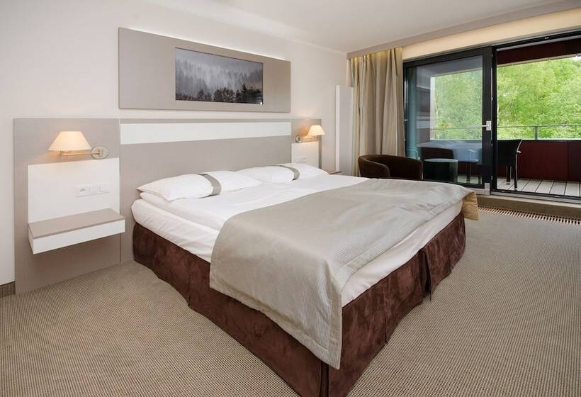 주니어 스위트, Amenity Hotel & Resort Lipno