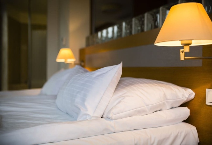 디럭스 스위트, Amenity Hotel & Resort Lipno