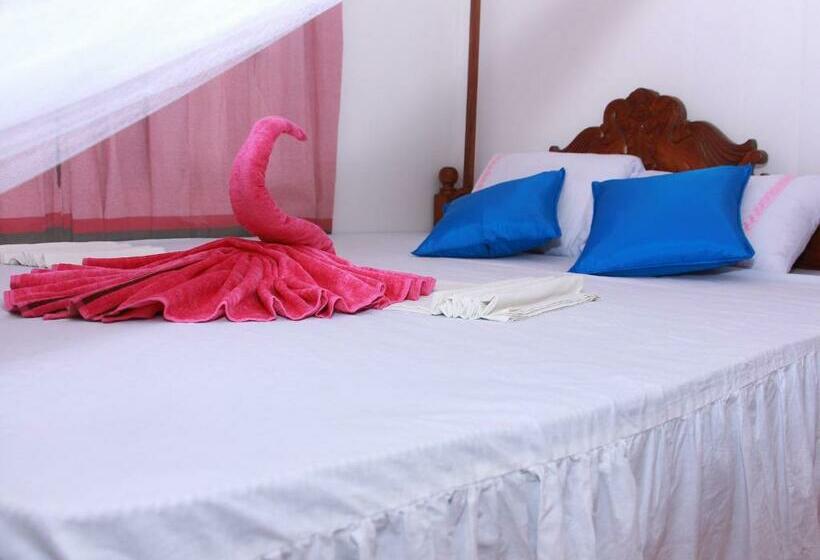 Standard Room Shared Bathroom, Moon Glow Guest