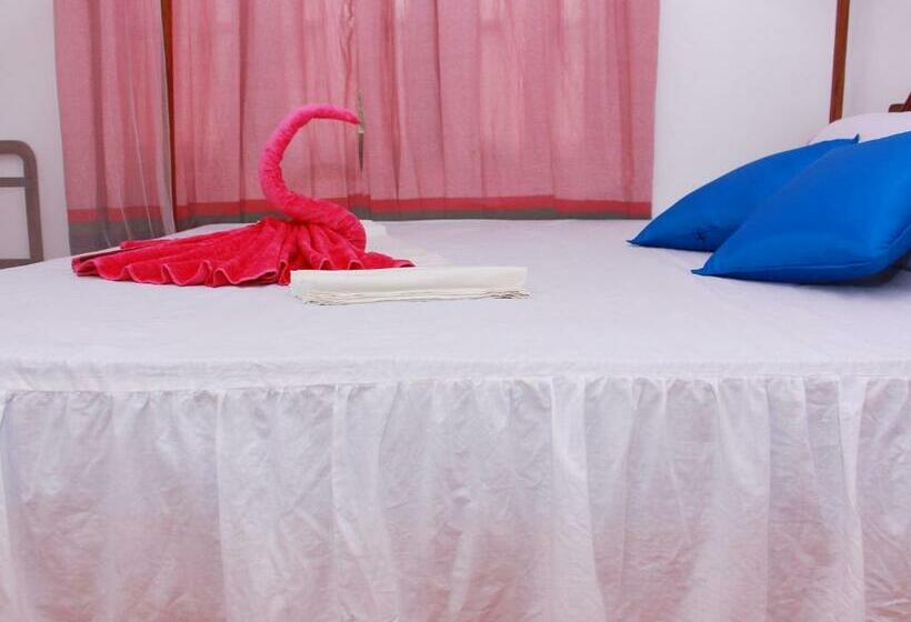 Standard Room Shared Bathroom, Moon Glow Guest