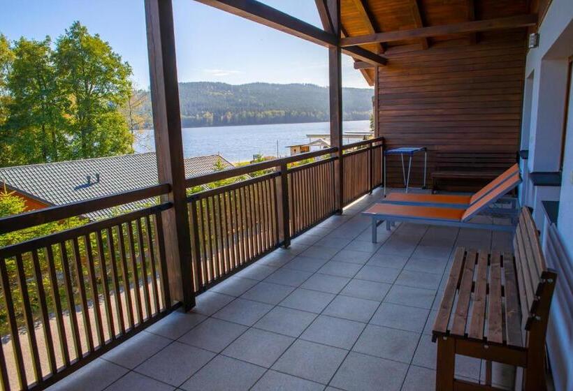 침실 1개 아파트, Amenity Hotel & Resort Lipno