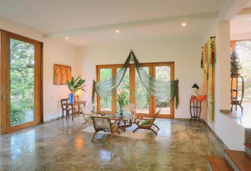 Бунгало Стандарт, Highland Villa