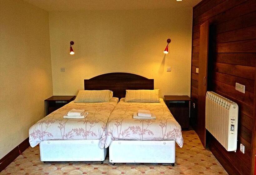 Студия Стандарт, Cashel Town Center Inn