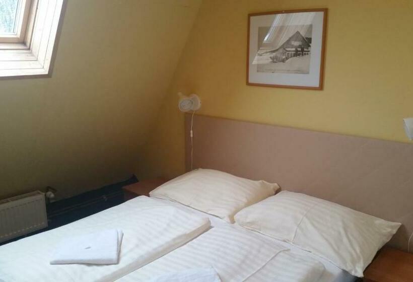 基本间, Parkhotel Harrachov