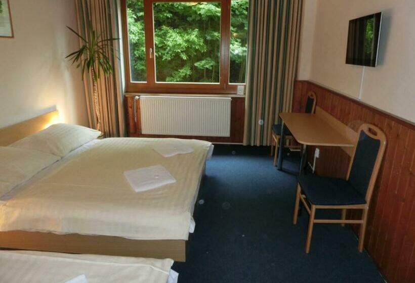 标准三人间, Parkhotel Harrachov