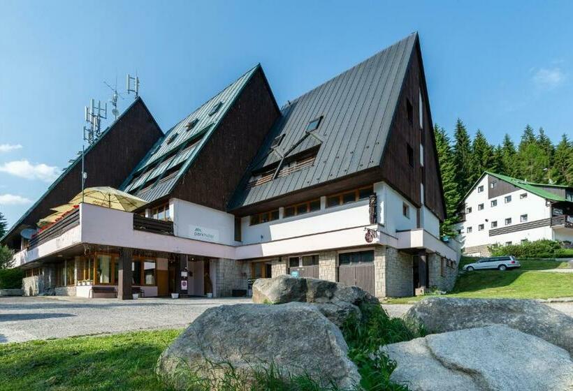 스탠다드 트리플 룸, Parkhotel Harrachov
