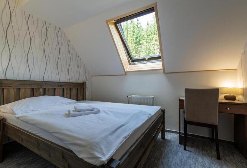 基本间, Parkhotel Harrachov