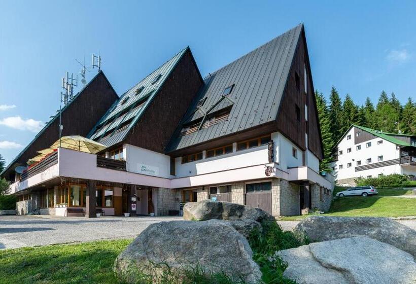 스탠다드 발코니 룸, Parkhotel Harrachov