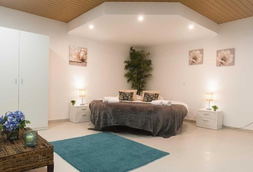 اتاق استاندارد با تخت بزرگ, West Side Guesthouse
