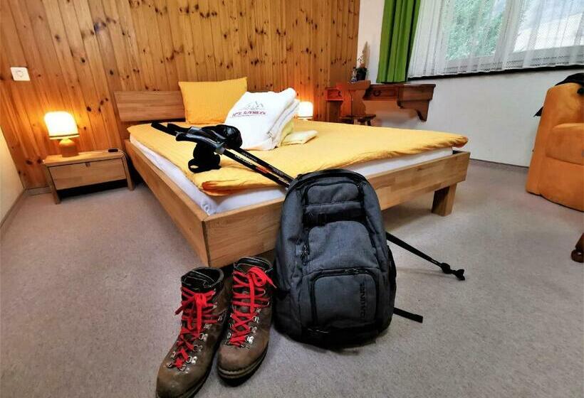 اتاق استاندارد یک نفره, Alpenblick Leukerbad Therme