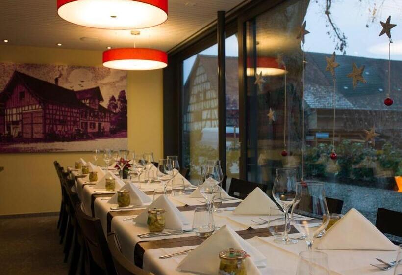 Студия Deluxe, Gasthaus Sternen