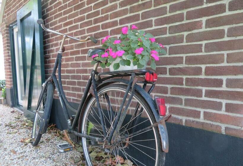 수피리어 룸, B&b De Willemshoeve