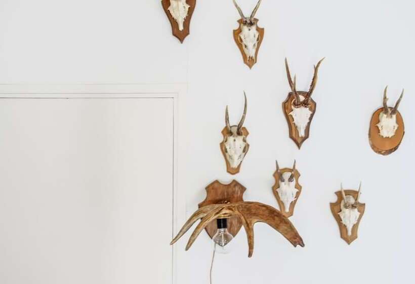 デラックスルーム, De Lochemse Berg