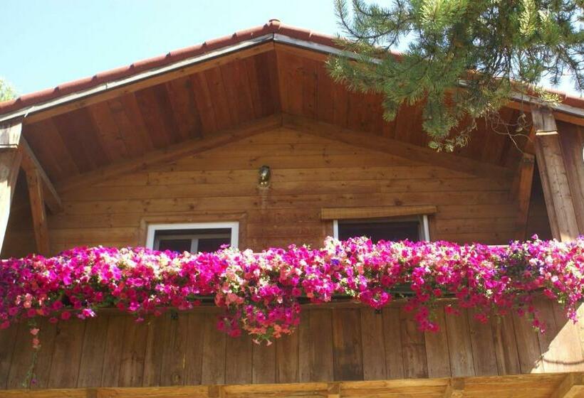 标准间带阳台, Alpenglow Bed And Breakfast