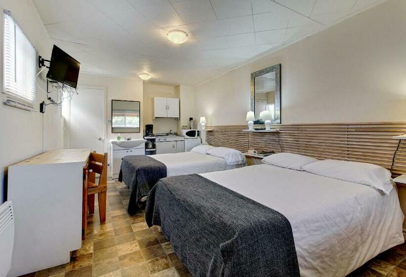 스탠다드 룸 더블 침대 2개, Motel Appartements Le Saint Patrick