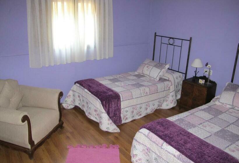 Номер Стандарт, Albergue San Pelayo