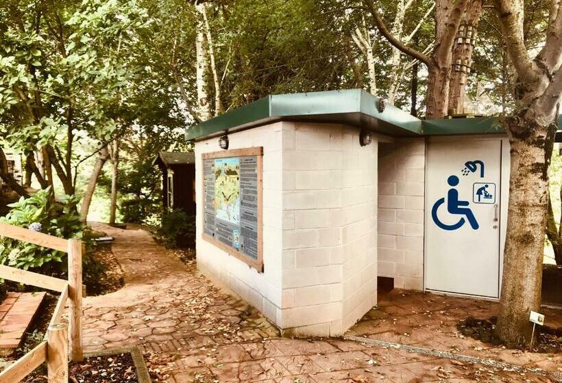 Кровать в Общей Комнате, Hostel Albergue Paradiso