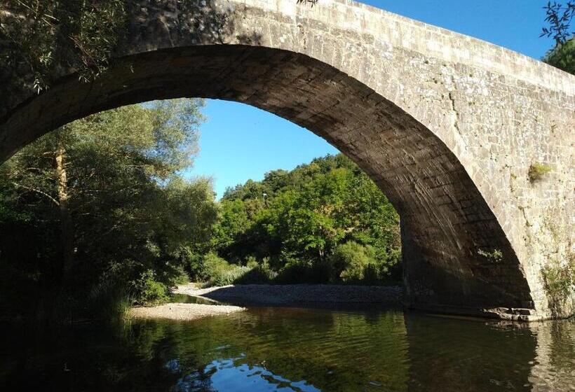 スタンダードルーム, Rural Aribe Irati