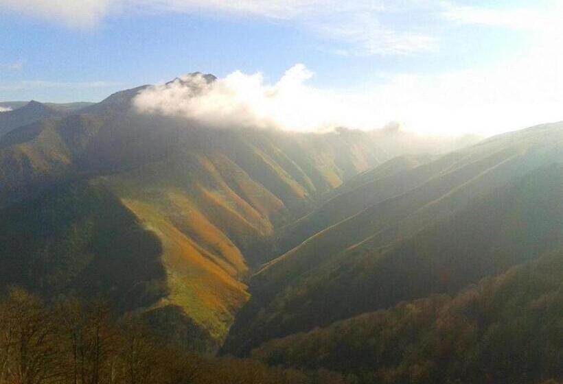 スタンダードルーム, Rural Aribe Irati