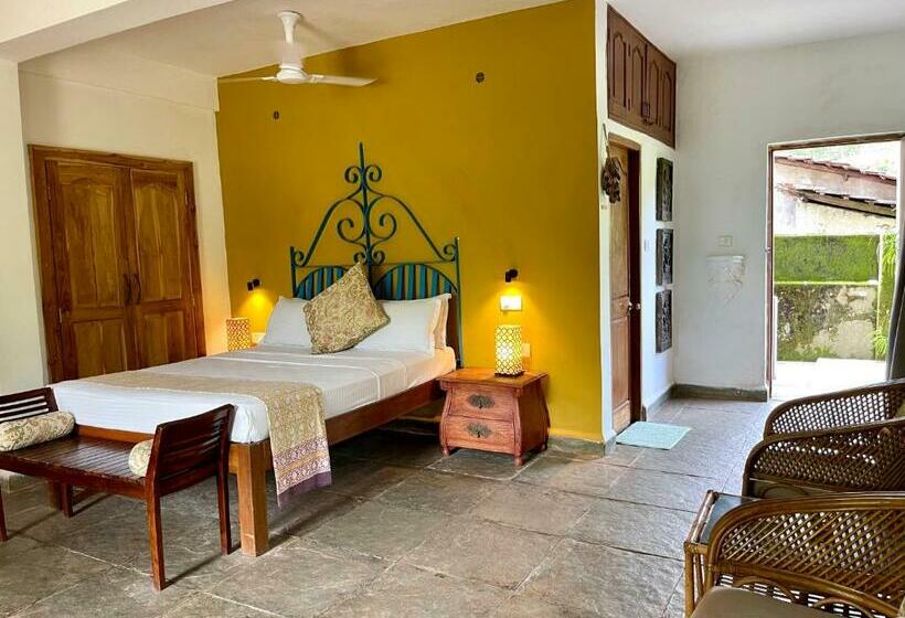 استودیوی استاندارد, Casa Da Praia