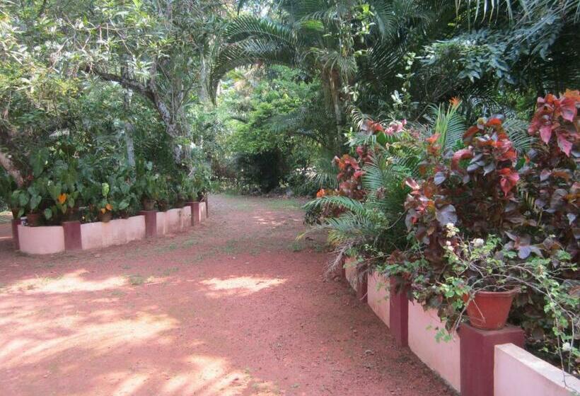 스탠다드 룸, Gk`s Riverview Homestay