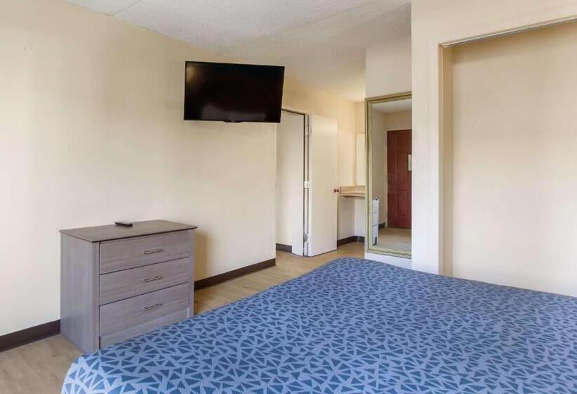 带大床的套房, One Life Studio And Suites
