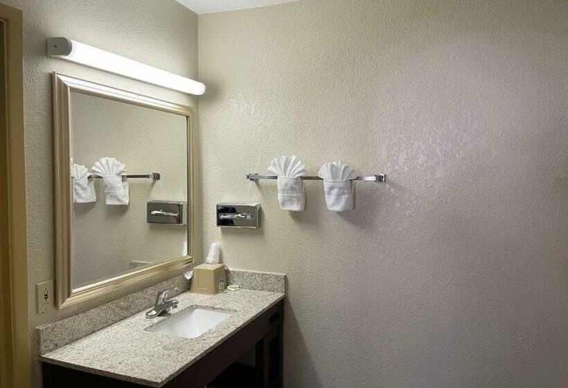 Стандартный Номер Кровать Кинг, Great Western Inn & Suites