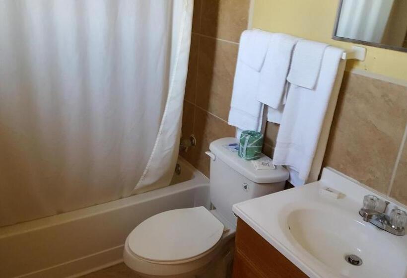 Номер Стандарт, Sands Motel
