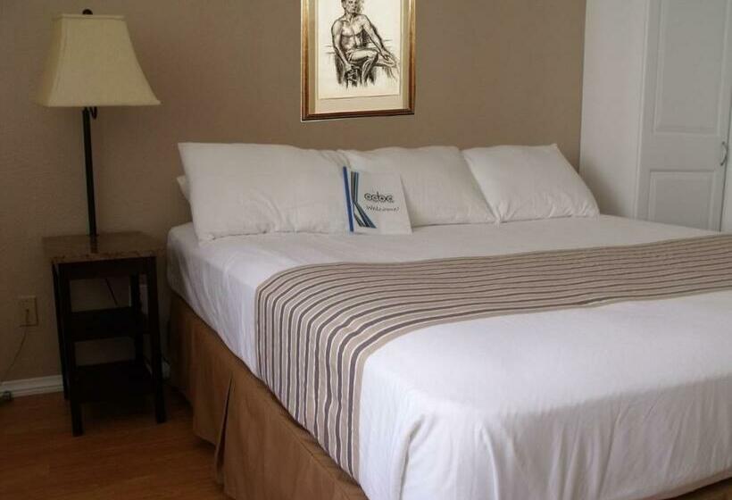 스탠다드 룸 킹사이즈 침대, Ccbc Resort Hotel   A Gay Men S Resort