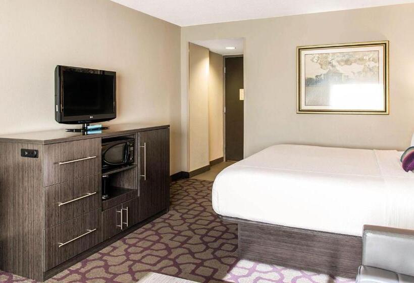 장애인을 위한 스탠다드 룸, Comfort Inn Largo Washington Dc East