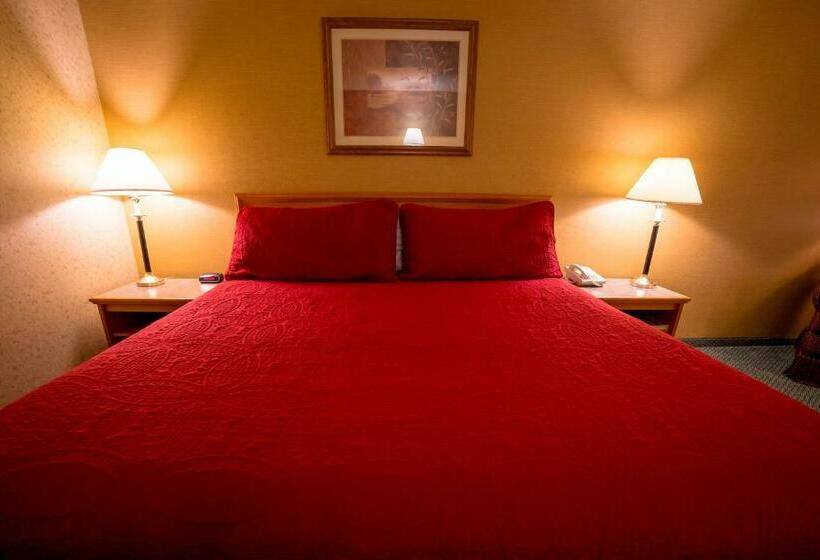 Стандартный Номер Кровать Кинг, Surestay Plus By Best Western Enterprise