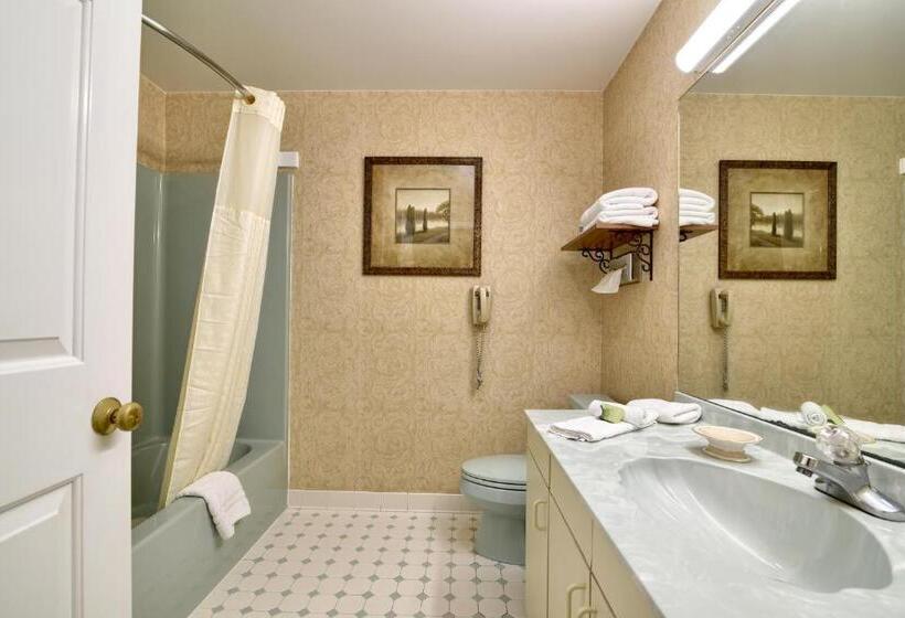 Люкс Кровать Кинг, Roosevelt Inn & Suites Saratoga Springs