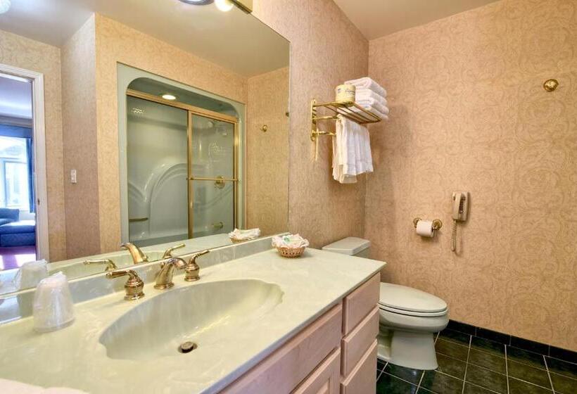 Номер Deluxe Кровать Кинг, Roosevelt Inn & Suites Saratoga Springs