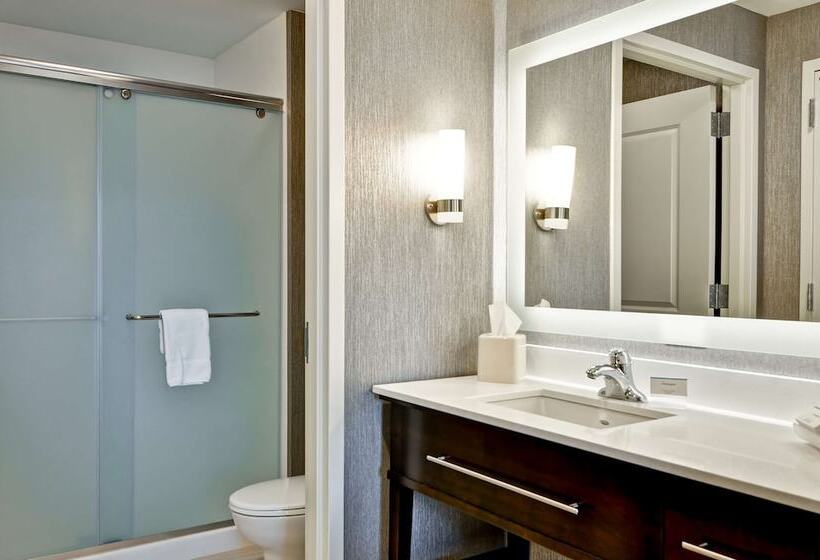 Люкс, Homewood Suites By Hilton Schenectady