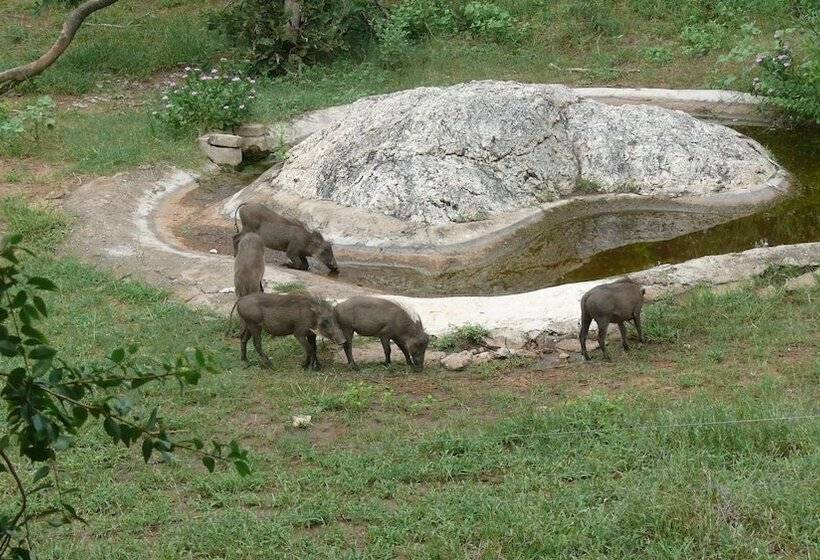 샬레, Baluleni Safari Lodge