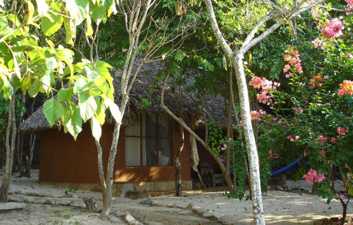スタンダードルーム, Bahía De La Luna