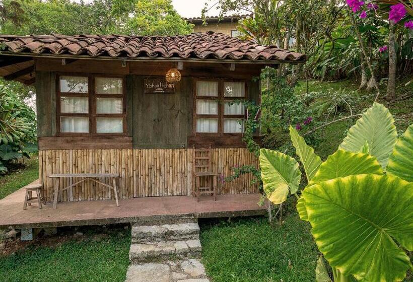 スタンダードルーム, Cabañas Los Achicuales