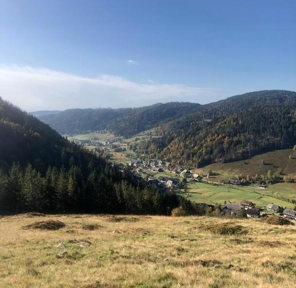 Стандартный Номер Кровать Кинг, Forest Apartment Mountain Escape Menzenschwand