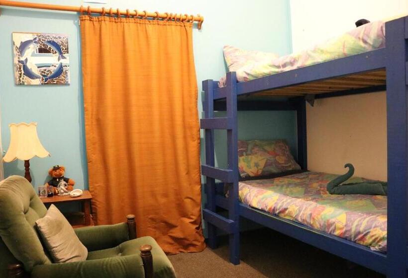 Номер Стандарт, Atlantis Backpackers