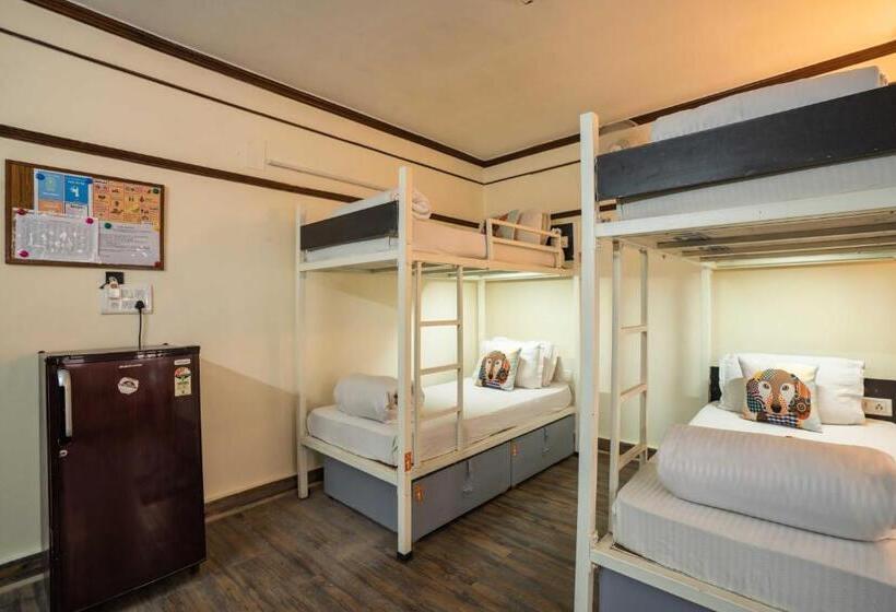 Кровать в Общей Комнате, Zostel Delhi