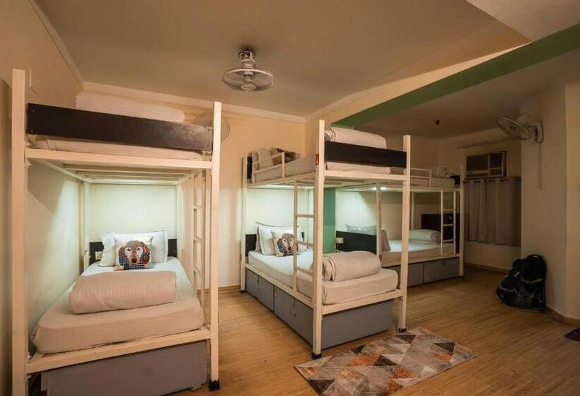 Кровать в Общей Комнате, Zostel Delhi