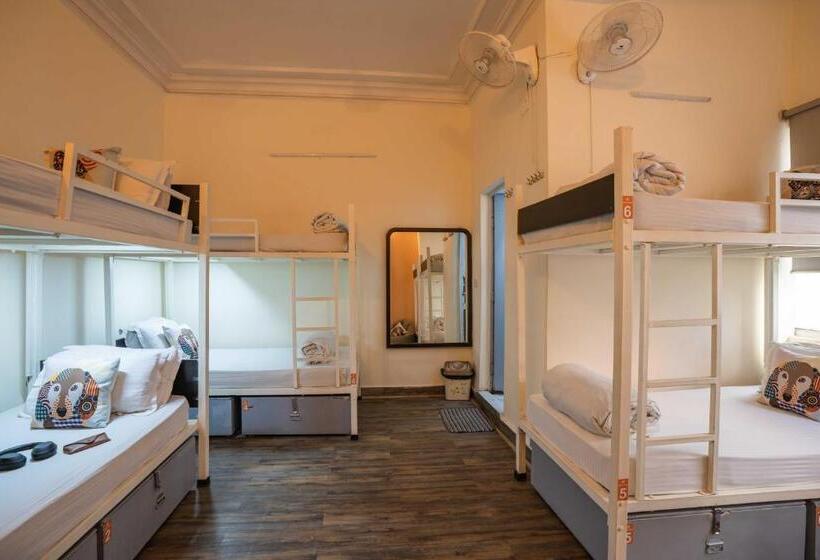 Кровать в Общей Комнате, Zostel Delhi