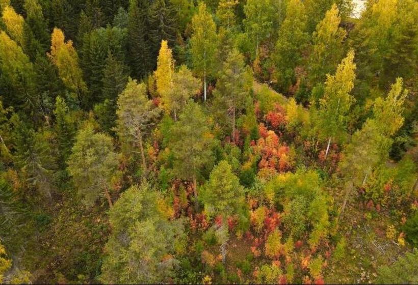 침실 1개 아파트, Punkaharju Resort