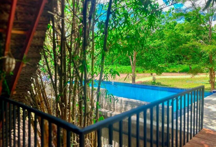 Трехместный Номер Стандарт Вид на Бассейн, Tantor Resort Habarana