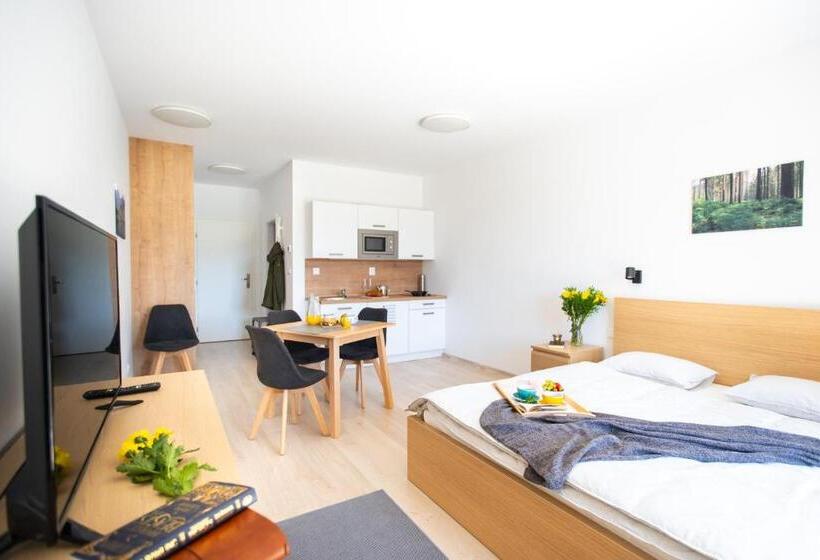 Студия Стандарт Двуспальная Кровать, Zaži Apartmán Vila Zuberec